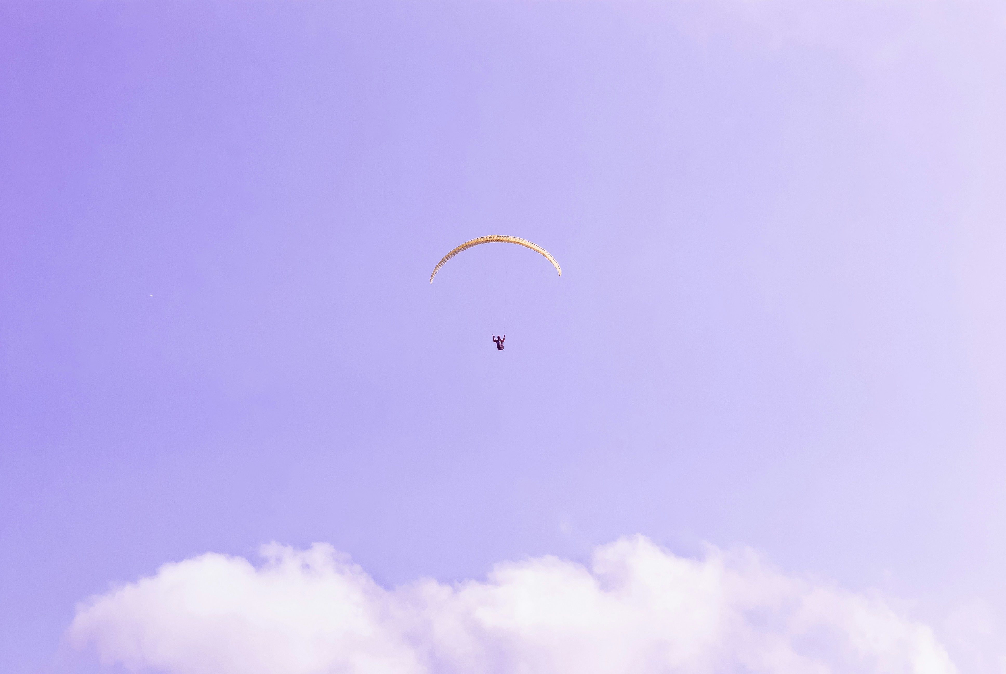 AI Shipment Operations